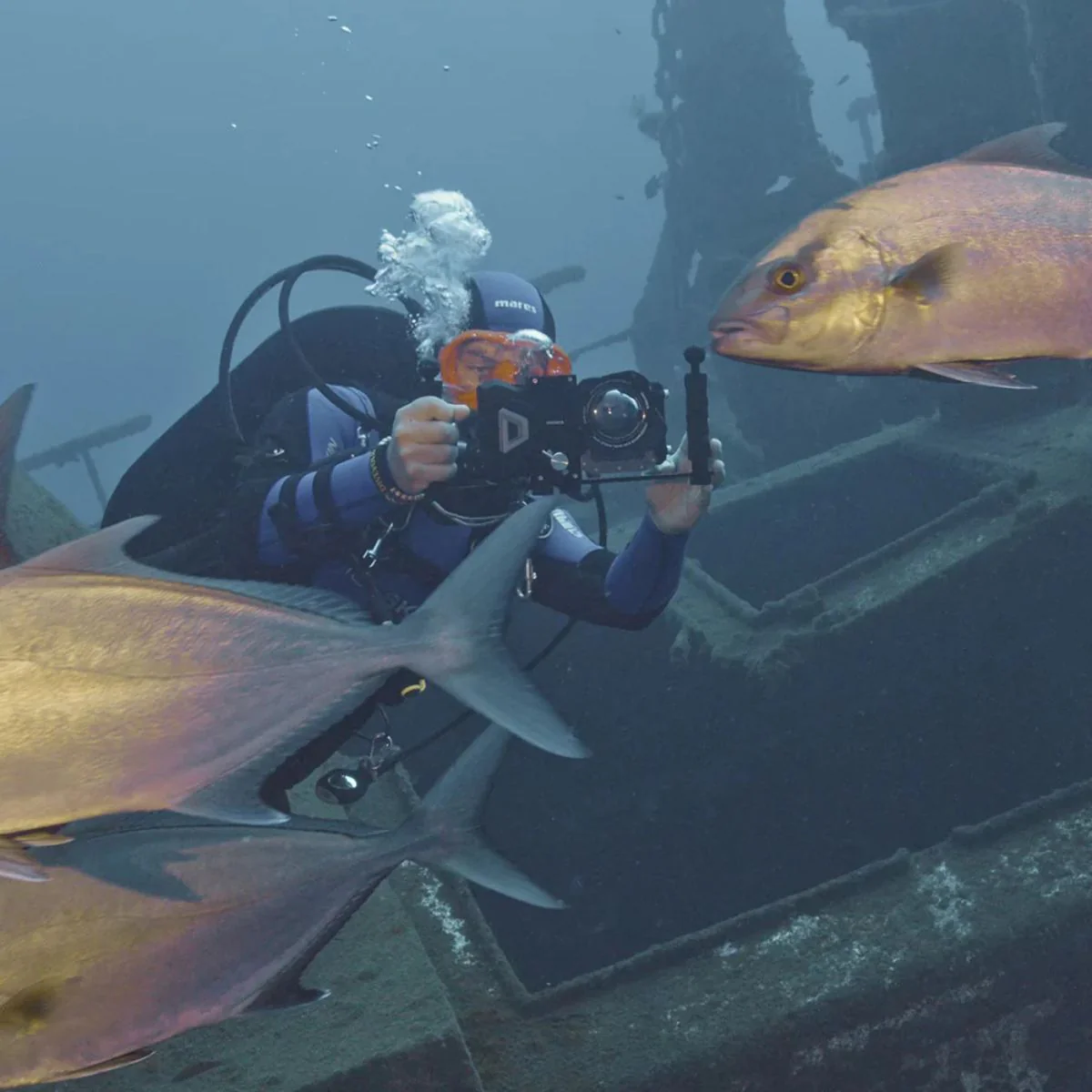 Ocean Essential Kit - Imagen 6